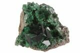 Fluorite Crystal Cluster - Rogerley Mine #94542-1